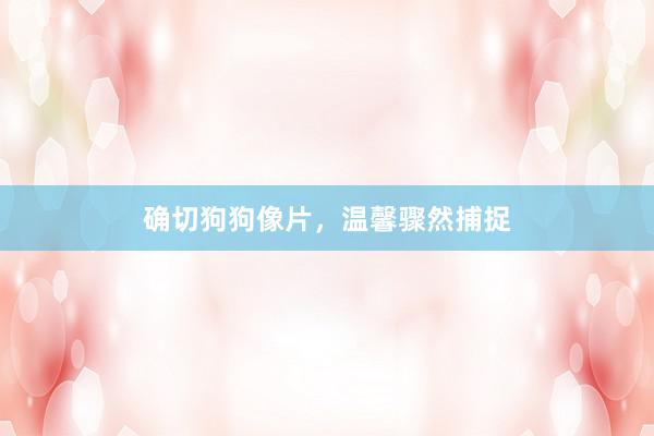 确切狗狗像片，温馨骤然捕捉