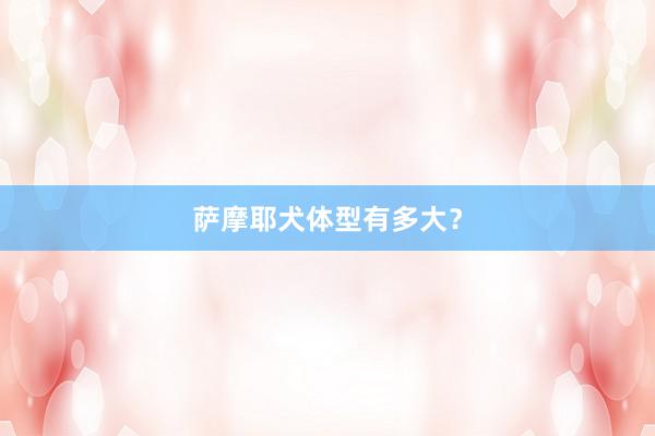 萨摩耶犬体型有多大？